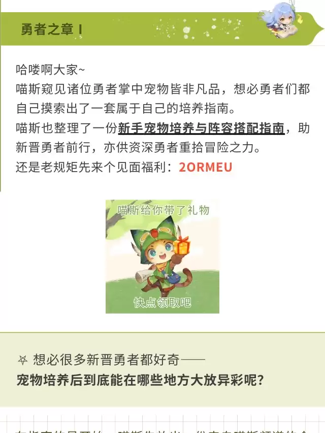攻略速递 | 新手宠物养成与阵容组合指南