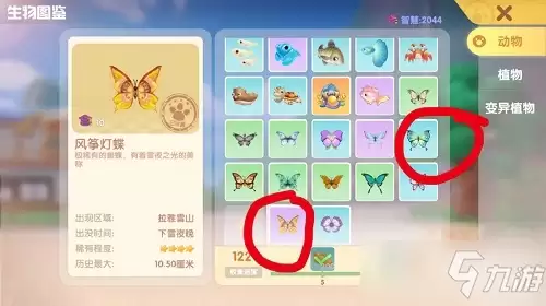 摩尔庄园风筝灯蝶捕捉在哪里