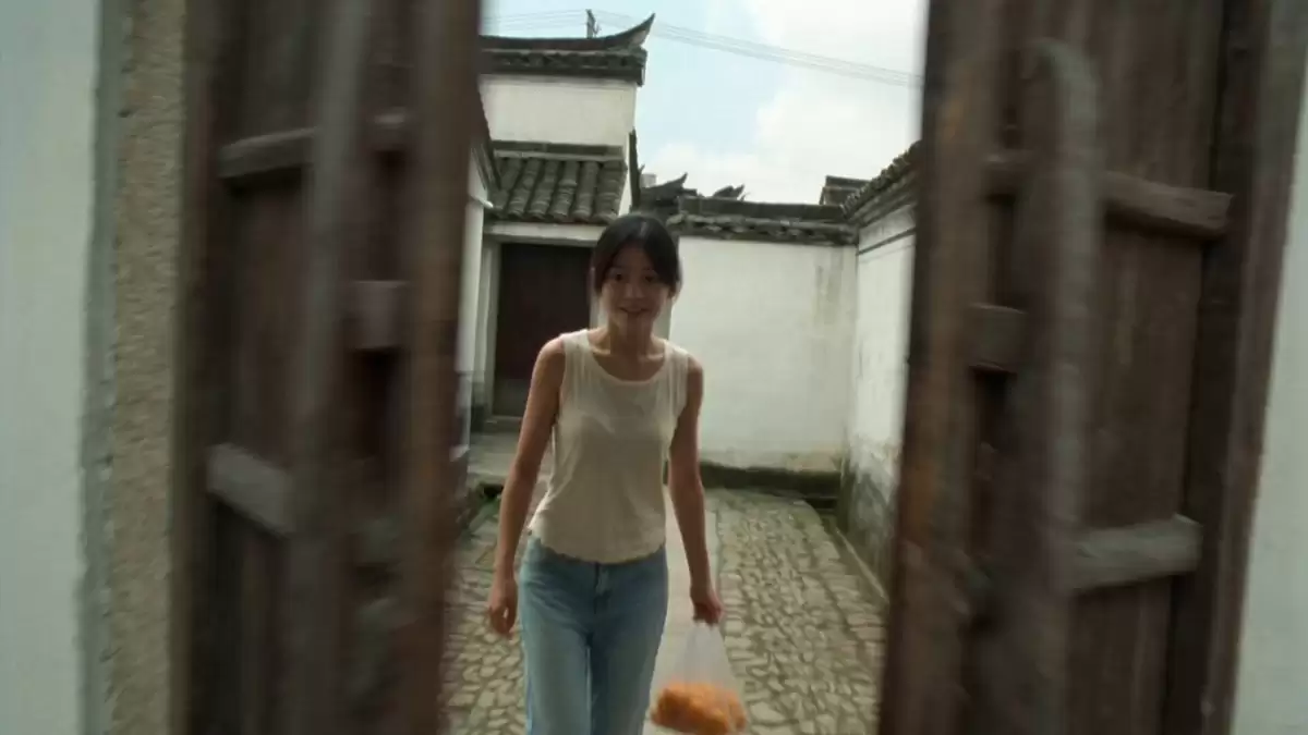 2000 年代怀旧 DV 摄像机记录的中国乡村影像
