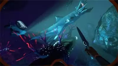 深海迷航2生物床如何收集