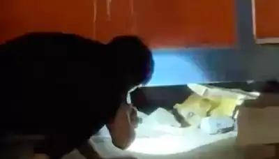 笼子血肉矿区更新了啥