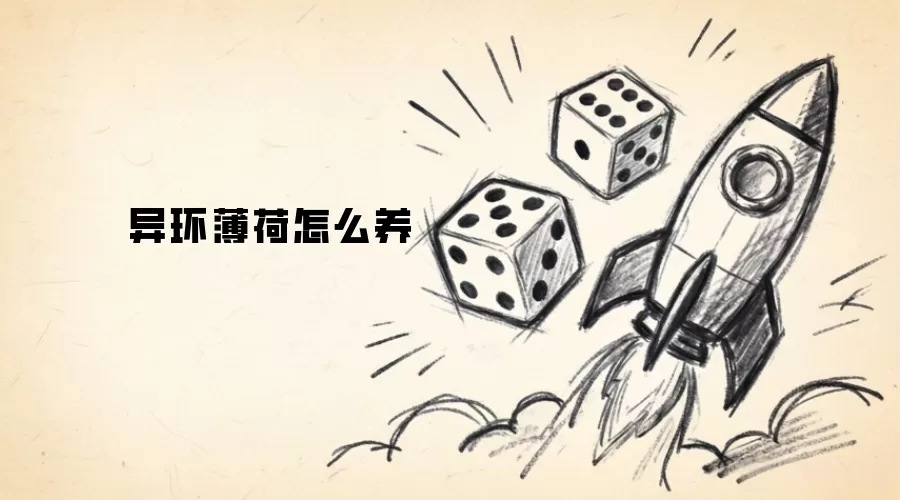 异环薄荷如何养