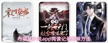 布袋鼠小说app缓存如何清理