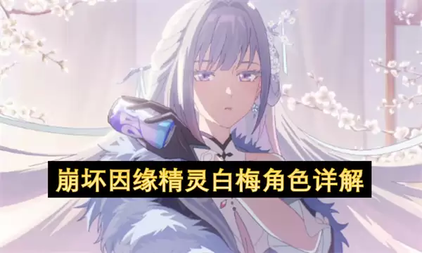 崩坏因缘精灵白梅角色简介
