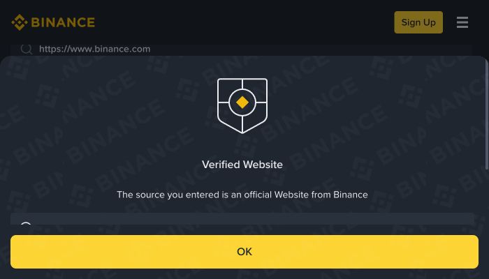 Binance Verify 返回 Verified Website 的官网核验结果