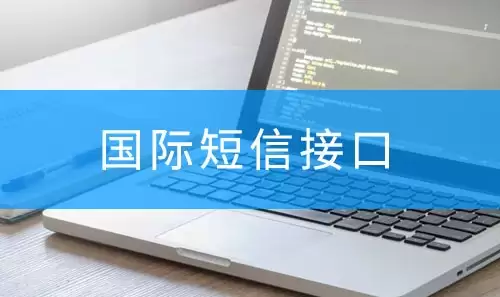 波兰短信接口如何对接？