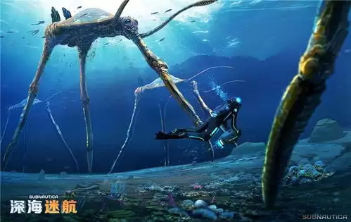 深海迷航2异星水域初始基地好用位置在哪