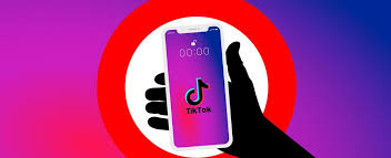 TikTok搜索不到用户如何解决