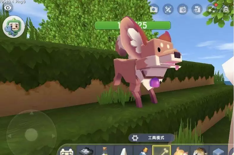 迷你世界2026版狐狸怎样驯服