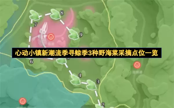 心动小镇新潮流季寻鲸季三种野海菜采摘点位一览