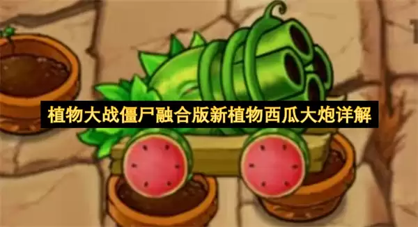 植物大战僵尸融合版新植物西瓜大炮全面解析