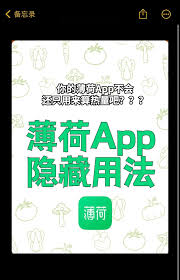薄荷健康如何将公斤换算成斤