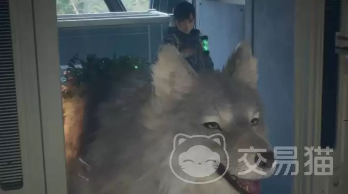 轮回之兽好不好玩轮回之兽核心玩法与新手入门指南