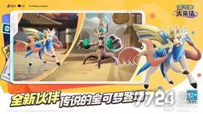 宝可梦大集结国际服下载 最新官方国际服版
