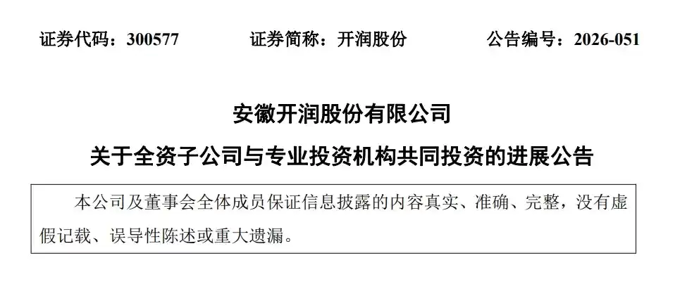 DeepSeek估值 被一家安徽箱包公司给全部暴露了