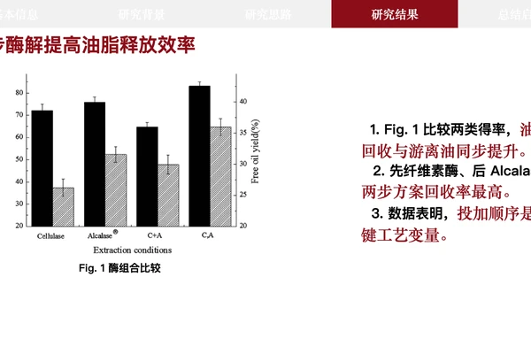 Literature Report PPT Builder 仓库截图展示界面或说明内容