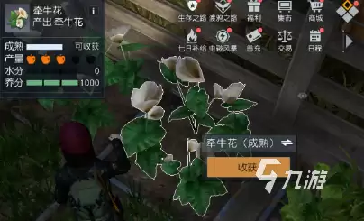 黎明觉醒庄园积分获得攻略 黎明觉醒庄园积分获取途径