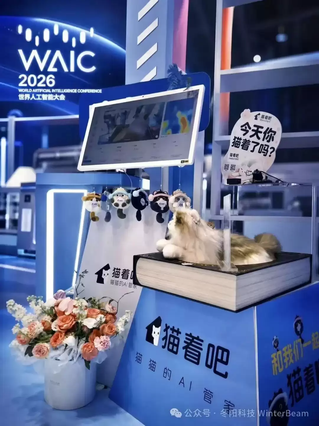 用AI读懂每只猫丨冬阳科技完成种子轮融资:AI 猫窝首秀 WAIC