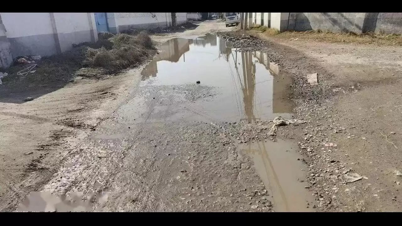 采用YOLO11的道路积水视觉检测：从数据集构建至云上训练实践