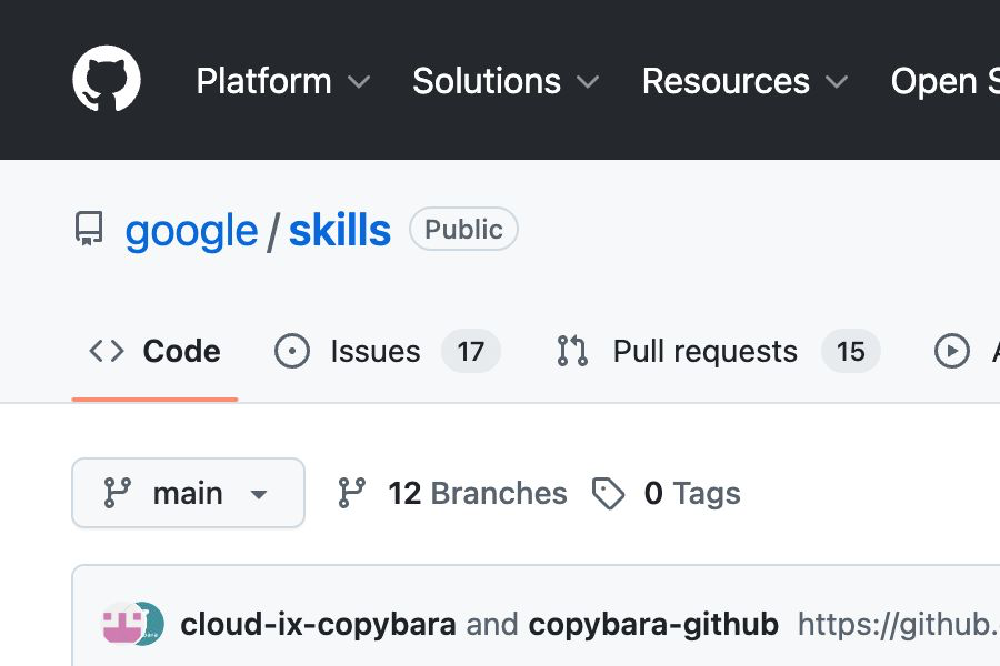google/skills 是什么？Google 官方 Agent Skills 技能包介绍
