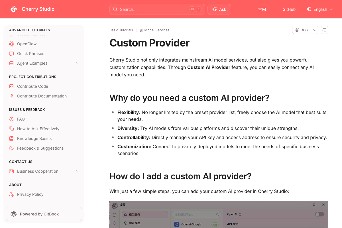 Cherry Studio 官方文档 Custom Provider 页面展示自定义模型服务配置说明