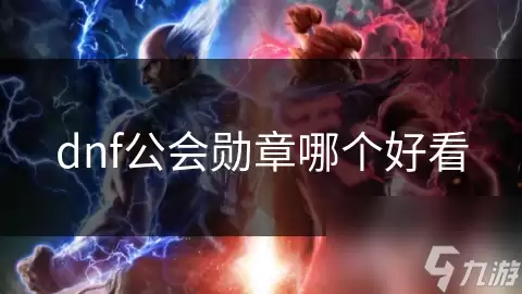 dnf公会勋章哪个最好看