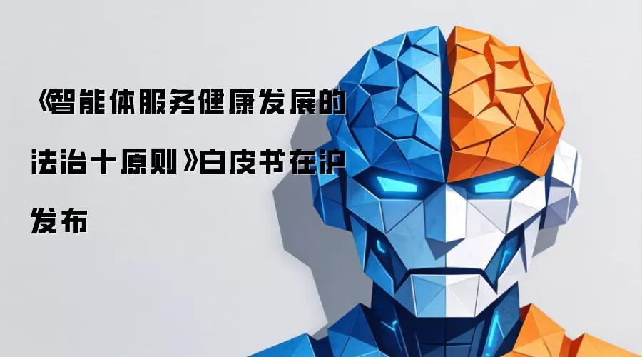 《智能体服务健康发展的法治十原则》白皮书于沪发布