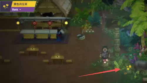 潜水员戴夫丛林夜晚盛开的花任务流程详解 潜水员戴夫丛林夜晚盛开的花任务流程详解