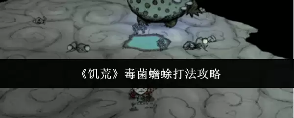《饥荒》毒菌蟾蜍打法攻略
