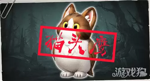 超自然行动组猫头鹰捕获指南 猫头鹰如何捕捉