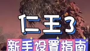 仁王3画面设置方法