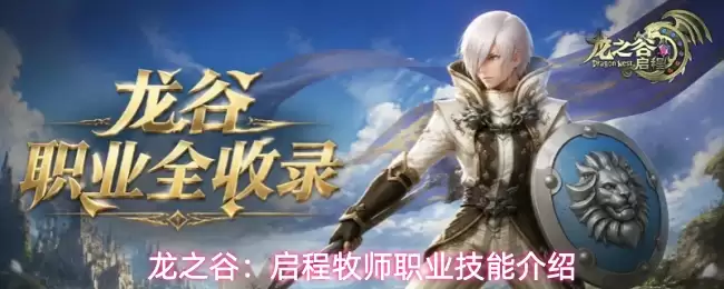 龙之谷：启程牧师职业技能说明