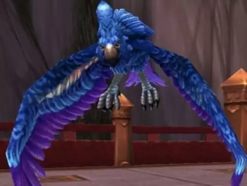 魔兽世界花羽鹦鹉宠物掉落位置全览