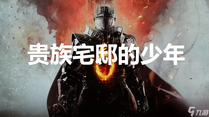 《龙之信条2》支线任务贵族宅邸的少年怎么完成