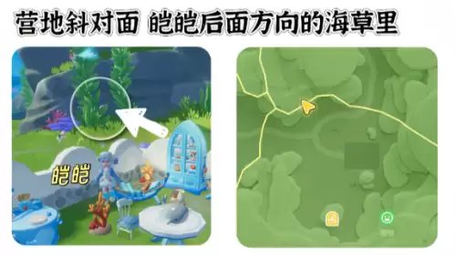 心动小镇寻鲸季小鲸鱼在哪 寻鲸季小鲸鱼点位汇总