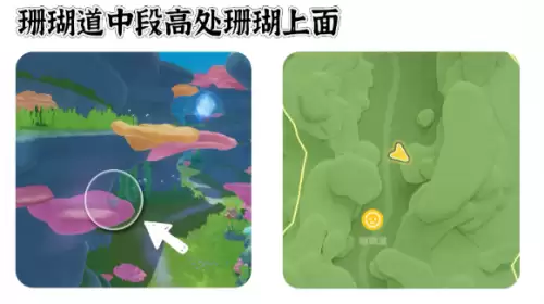 心动小镇寻鲸季小鲸鱼在哪 寻鲸季小鲸鱼点位汇总