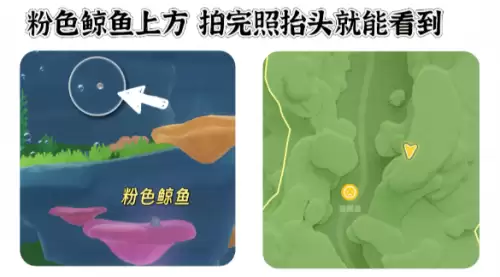 心动小镇寻鲸季小鲸鱼在哪 寻鲸季小鲸鱼点位汇总