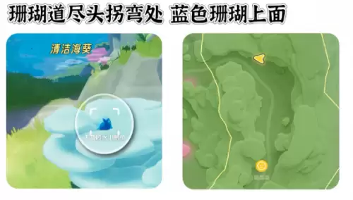 心动小镇寻鲸季小鲸鱼在哪 寻鲸季小鲸鱼点位汇总