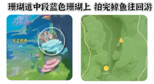 心动小镇寻鲸季小鲸鱼在哪 寻鲸季小鲸鱼点位汇总