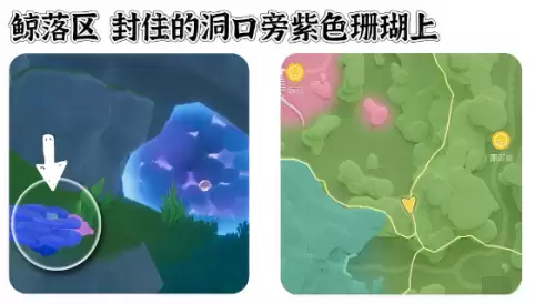 心动小镇寻鲸季小鲸鱼在哪 寻鲸季小鲸鱼点位汇总
