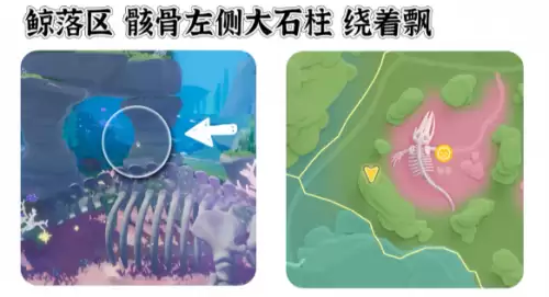 心动小镇寻鲸季小鲸鱼在哪 寻鲸季小鲸鱼点位汇总