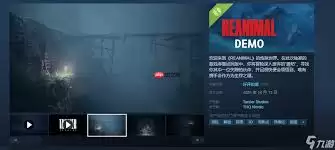 生灵重塑价格一览