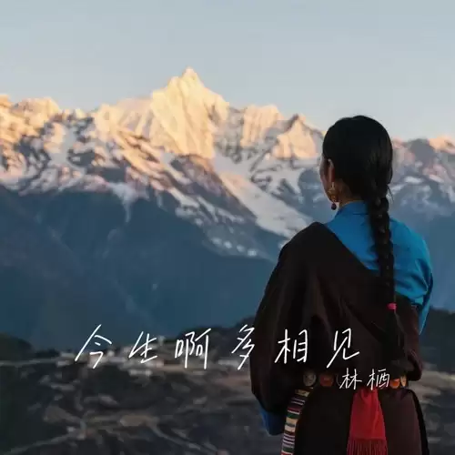 知识图谱:问题图谱:能力图谱的界定及关联