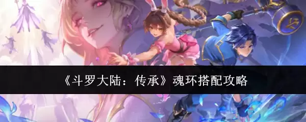 《斗罗大陆：传承》魂环搭配指南