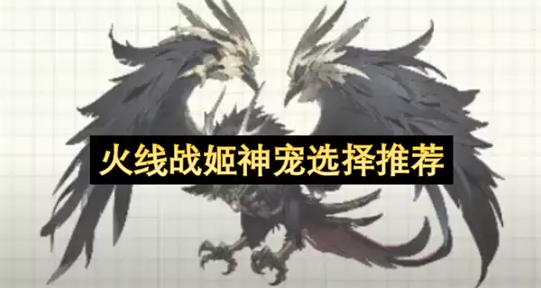 火线战姬神宠推荐选择