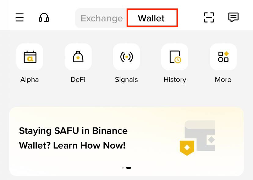 币安App顶部Wallet标签被红框标出，下方显示Alpha、DeFi、Signals、History和More入口