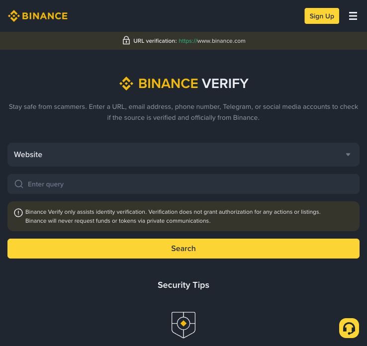 Binance Verify 官方验证页,包含 Website 类型、Enter query 输入框和 Search 按钮