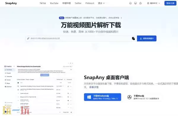 视频解析网站 视频解析在线提取
