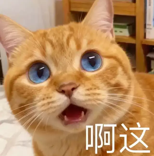 机器人为啥困在Demo:讯飞新公司爻方智能给出答案:缺一味本体认知