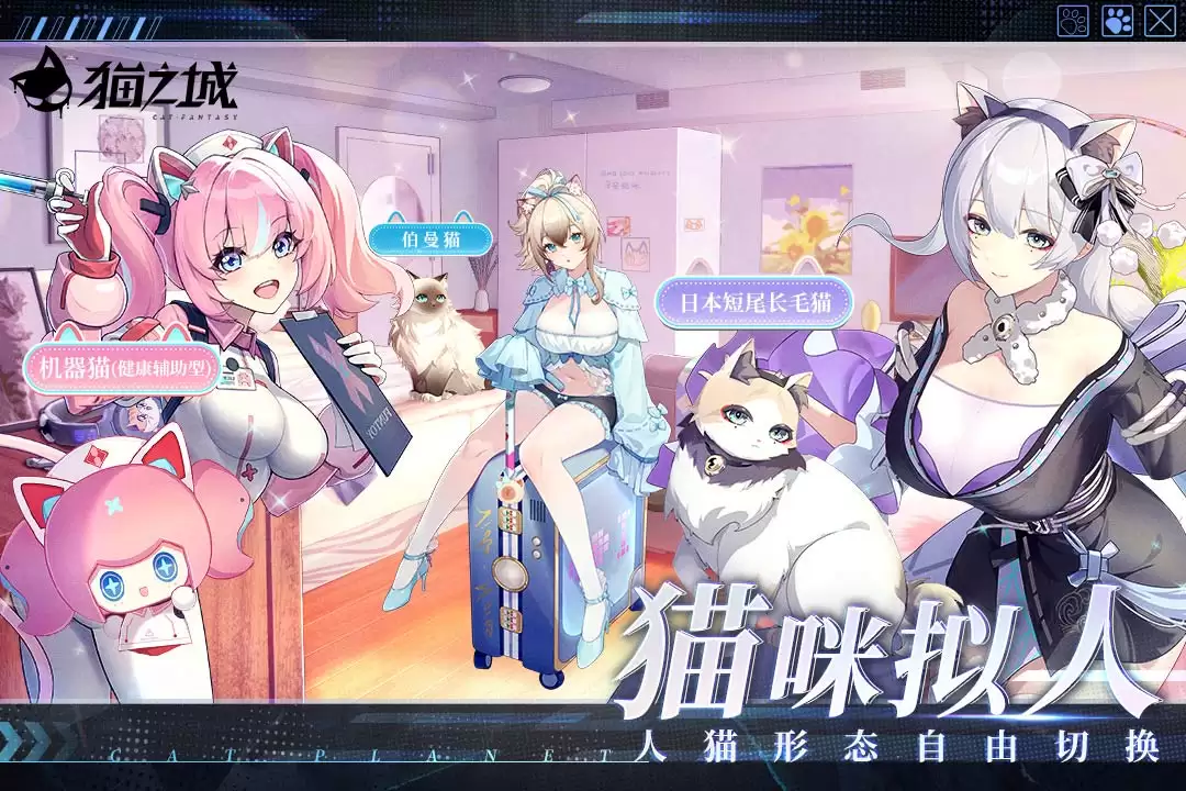 猫之城什么时候出 公测上线时间预告